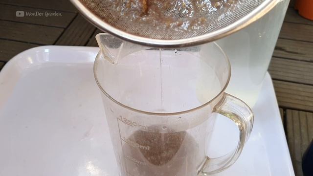 Just put this in the roots and Anthuriums will bloom all year round without fading|Wonder Garden смотреть онлайн