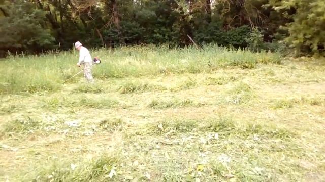 Четырёх тактная бензокоса- триммер Honda, заготовка сена на зиму. смотреть онлайн