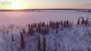 Небо славян под покровом небес Мы родились