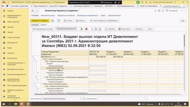 Экзмепляры бюджетов Виды бюджетов смотреть онлайн