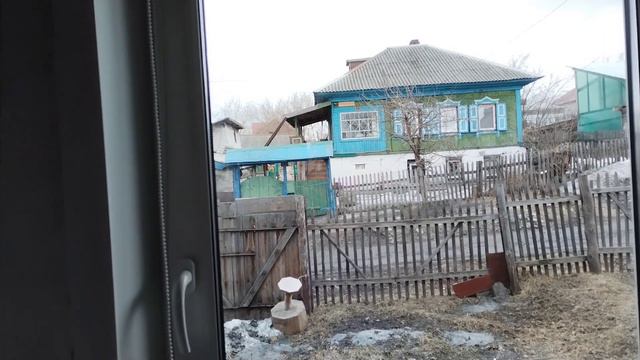 Смешная история.Полезный ужин.Петуния. смотреть онлайн
