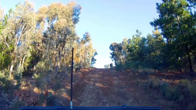 Pierces Creek Forest steep climb Pajero 4x4 смотреть онлайн