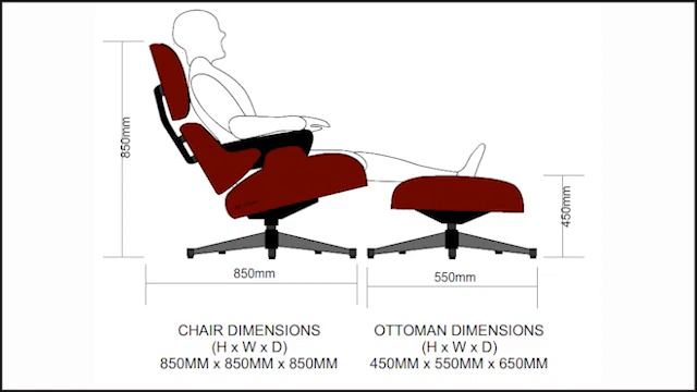 What Are Anthropometrics And  Ergonomics?