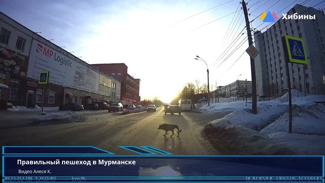 Хибины.com: Пешеходный переход по учебнику смотреть онлайн