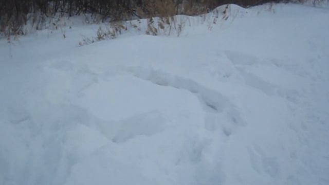 белочка смотреть онлайн