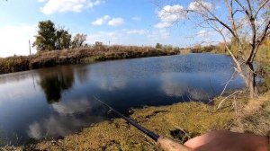 ПРАВИЛЬНАЯ ПРОВОДКА ВОБЛЕРА СВИМБЕЙТА ДЛЯ ЛОВЛИ ЩУКИ