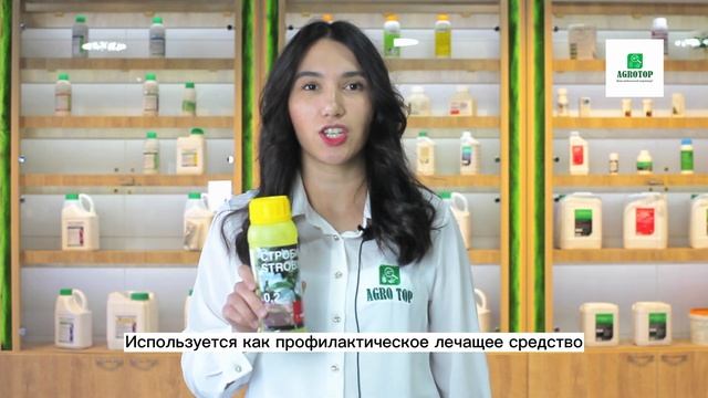 СТРОБИ - новый фунгицид для борьбы с болезнями овощных, плодовых культур и винограда. смотреть онлайн