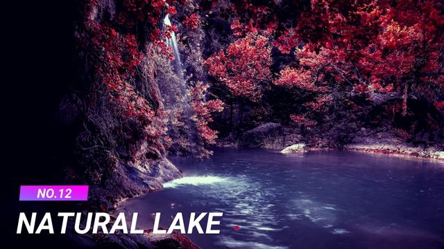 TOP 30 BEST FREE LIVE WALLPAPERS 4K | Windows 10 Desktop Customization With Download Links