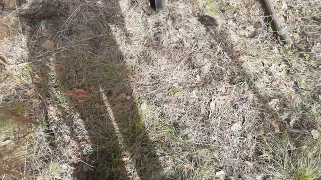 Коп а лесу на металлоискатель MD 4030 смотреть онлайн