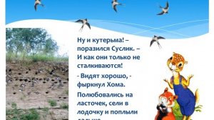 Презентация «Путешествие Хомы и Суслика по реке Дон»