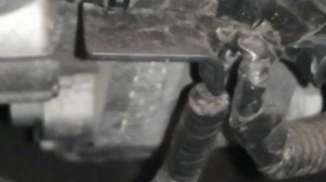 Номер двигателя посмотреть легко Sandero Stepway