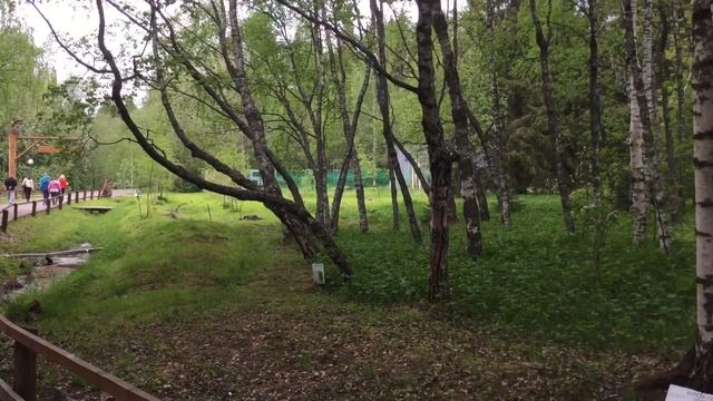 Про карельскую березу смотреть онлайн