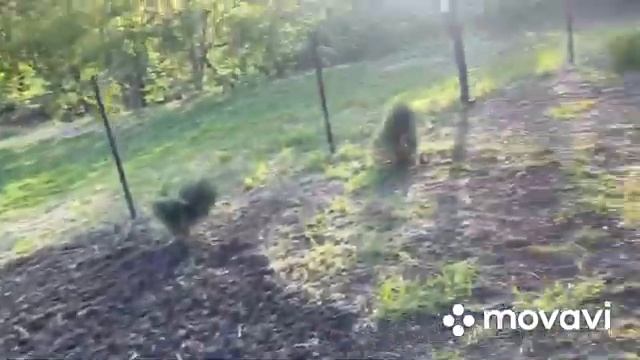 Приямок для скважины своими руками смотреть онлайн