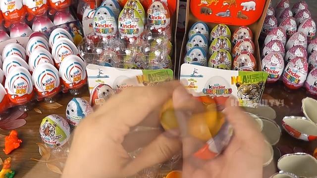 66 Surprise Eggs Kinder Surprise Animal Planet Eggs Unboxing