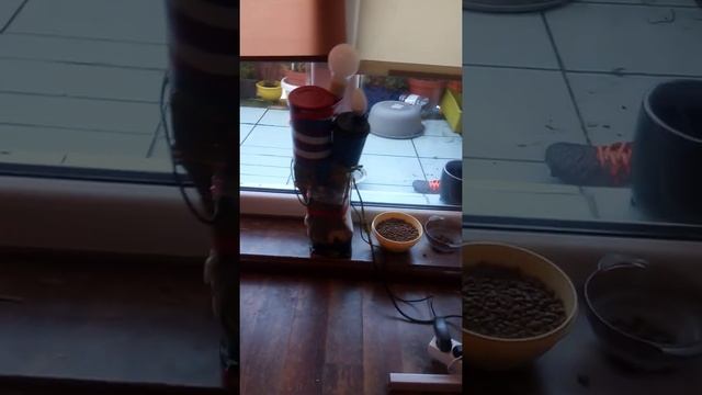 cat feeder Python flask prototype смотреть онлайн