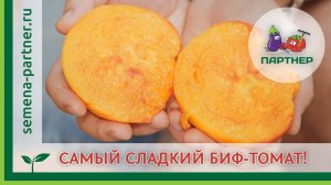 САМЫЙ СЛАДКИЙ БИФ-ТОМАТ – СОКРОВИЩЕ ИНКОВ F1