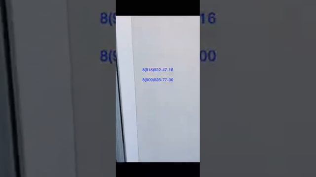 WhatsApp Video 2021 09 12 At 21 55 42