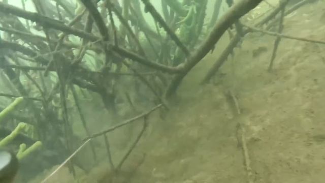 Подводная охота на Соже 2 смотреть онлайн