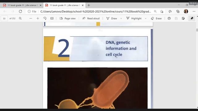 G11 Zoom Meeting ( Biology ) ( 12.02.2021 ) смотреть онлайн
