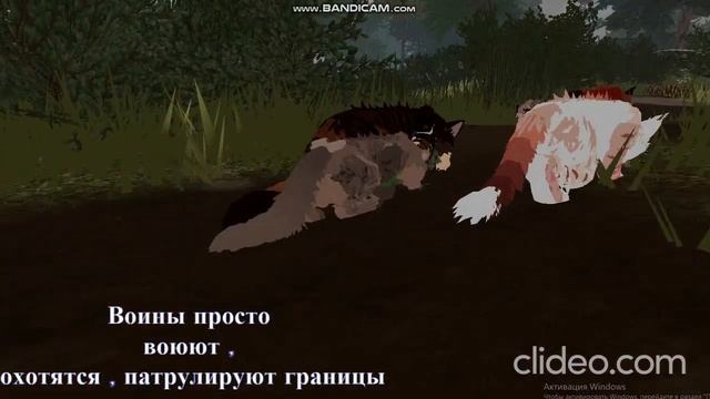 Ну рил/Коты воители роблокс смотреть онлайн