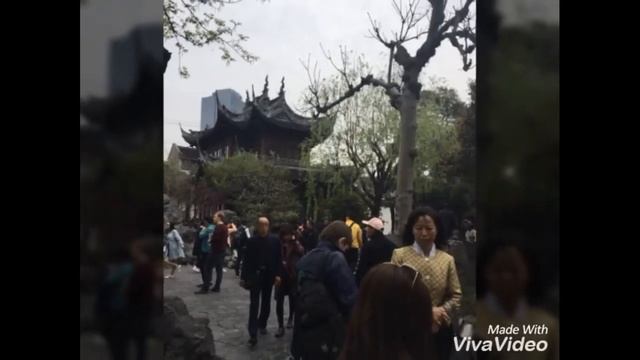 Видео-экскурсия по паркам Пекина и Шанхая смотреть онлайн