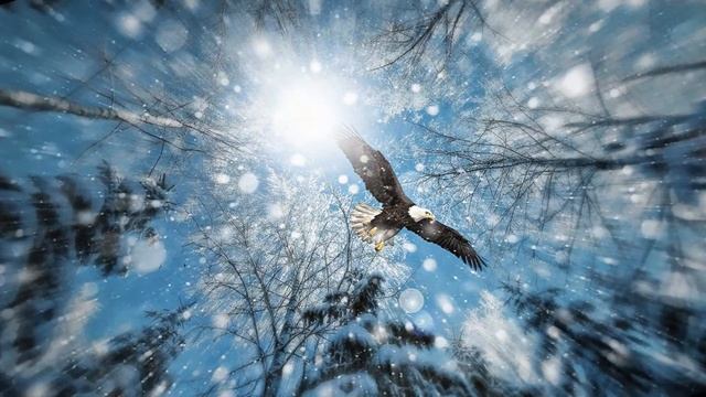 Здесь для души моей раздолье. Душа тело-стих смотреть онлайн