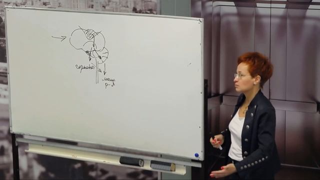 Лекция Марины Спиранде «Эмоциональный интеллект» смотреть онлайн