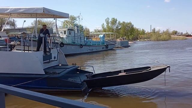Тузик и лебедка смотреть онлайн