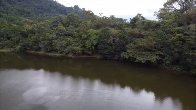 LAGUNA DEL TABACAL (LA VEGA - CUNDINAMARCA 14 FEBRERO 2021 смотреть онлайн