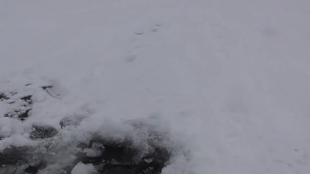 РЫБАЛКА ОКА ДЕКАБРЬ 2020 ЛУЧШИЙ СПОСОБ ЖАРЕННОЙ РЕЧНОЙ РЫБЫ! смотреть онлайн