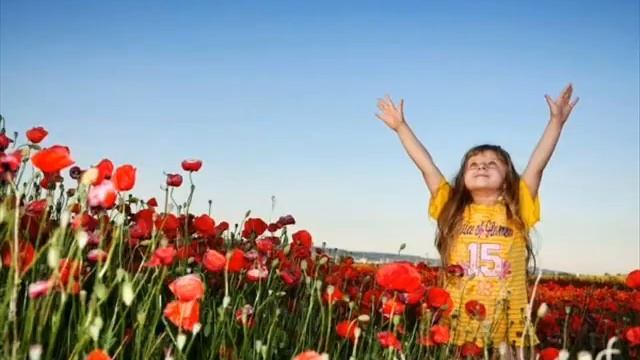 Прогулка в маках автор клипа Зоя Боур-Москаленко смотреть онлайн