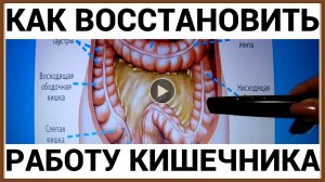 КАК ВОССТАНОВИТЬ РАБОТУ КИШЕЧНИКА.mp4