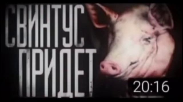 СВИНТУС ПРИДЁТ смотреть онлайн