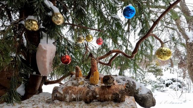 ПТИЦЫ НА КОРМУШКЕ-2023/2024 День №42, часть третья смотреть онлайн