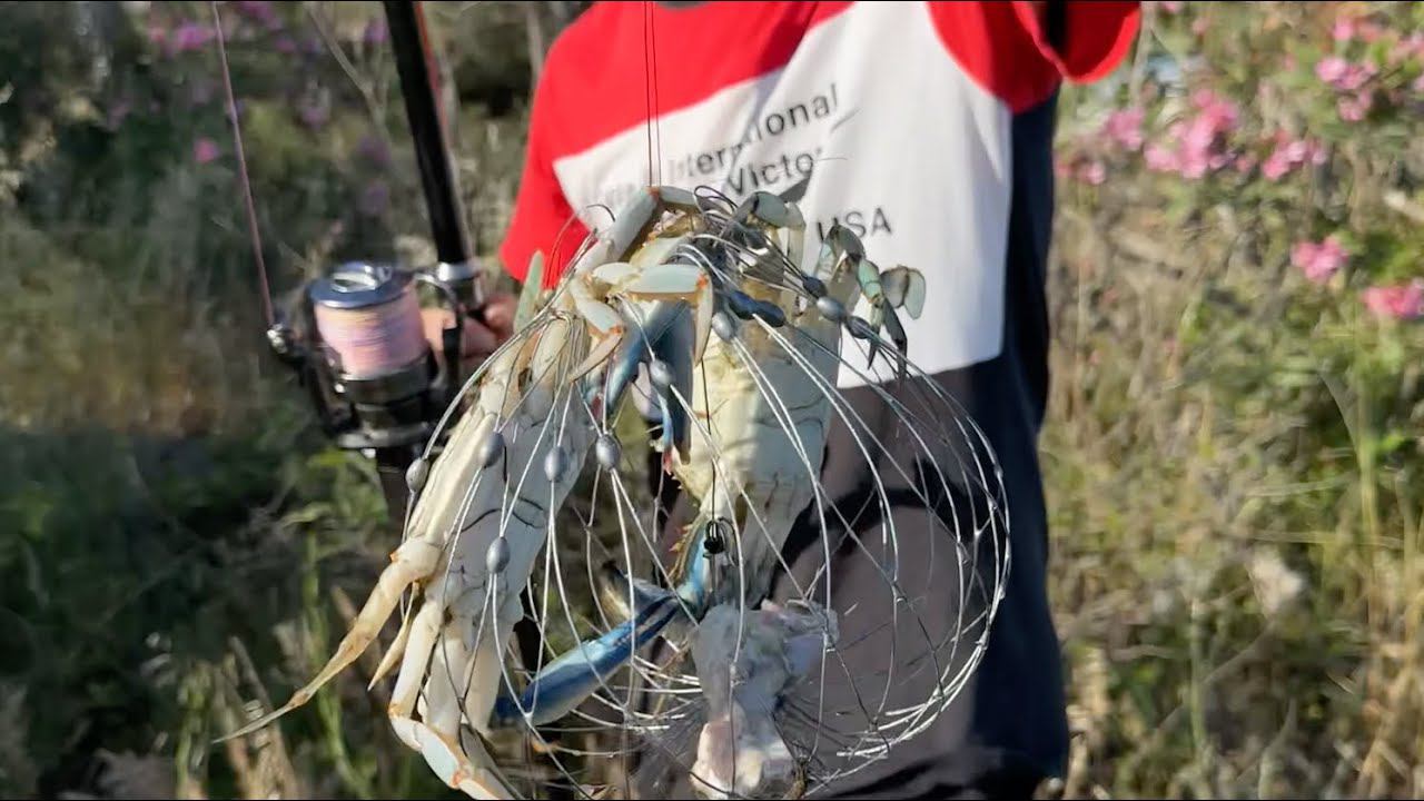 Как? Где? На что? Крабалка в Турции