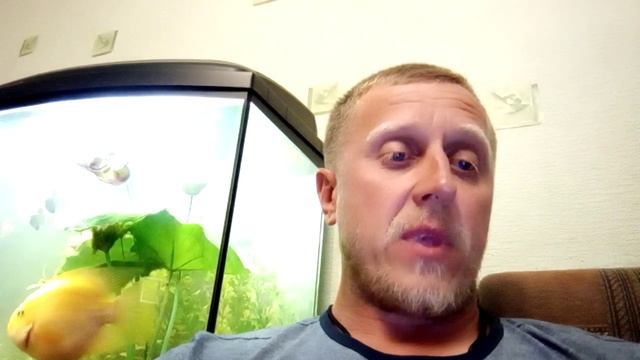 Волшебник Изумрудного города. Дорога из жёлтого кирпича. смотреть онлайн