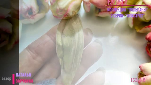 153,2,8 модель из коллекции "Тюльпаны Фокстрот" смотреть онлайн