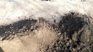 Закладка виноградника. Яма под виноград.