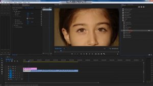 Урок 2. Устанавливаем необходимые плагины в ADOBE PREMIERE PRO