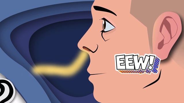 Explore The 5 Senses! | Human Body Songs For Kids | KLT Anatomy смотреть онлайн