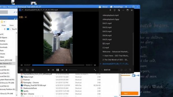 How to Remove Video Watermark [Gilisoft Watermark Removal Tool]