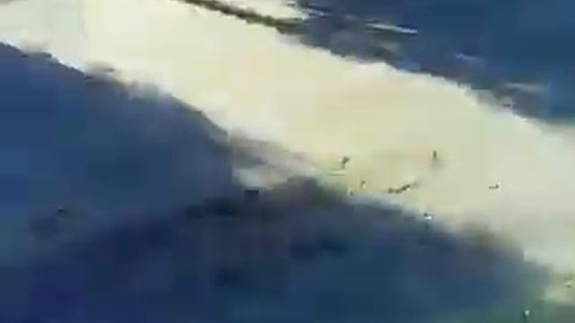 drone LH X4 смотреть онлайн