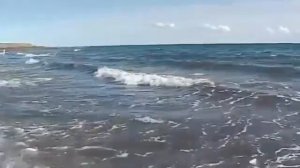 А. Свияш. Настрой на удачу и успех