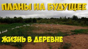 Планы на будущее . Почему «Один в деревне ?» . [Жизнь в деревне]