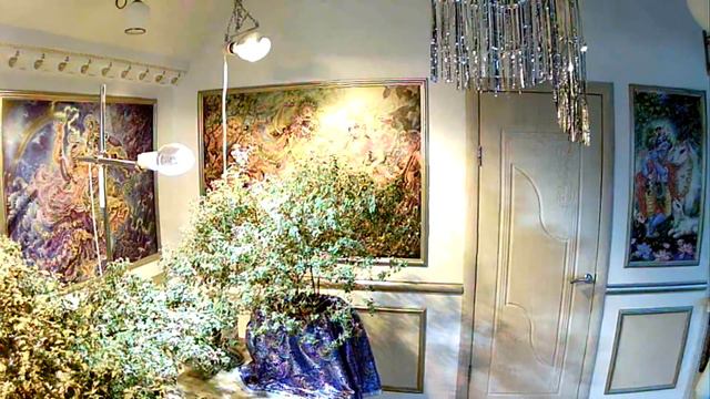 2021 09 Тюмень Тобольск смотреть онлайн