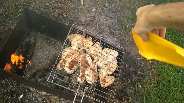 Пара лебедей с птенцами смотреть онлайн