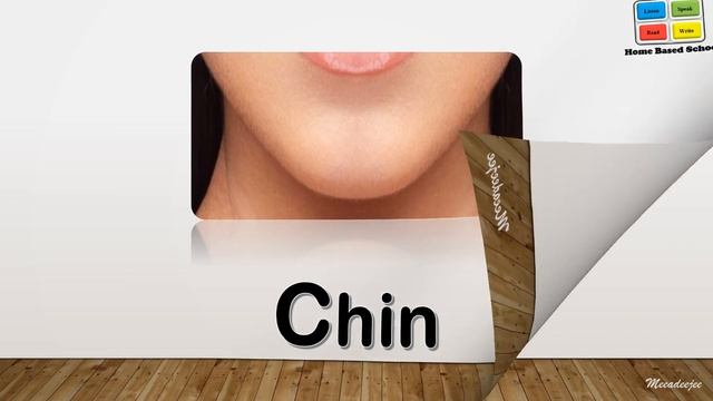 Learn Parts Of Body Name | Parts Of Body Name In English | Human Body Parts | Basic English Learnin