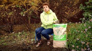 Кислый торф - самая лучшая и важная добавка при посадке или пересадке гортензии.