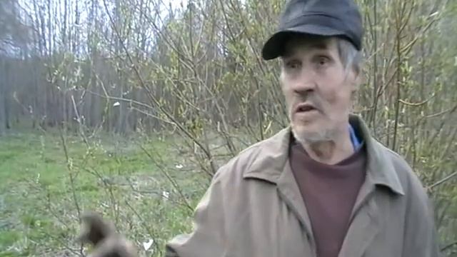 Мечта о хорошем чайнике!