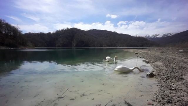 Живи любимый мой Азербайджан Ярослав Семенов смотреть онлайн